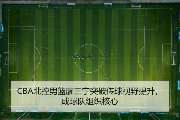 bei-kong-nan-lan-liao-san-ning-tu-po-chuan-qiu-shi-ye-ti-sheng-cheng-qiu-dui-zu-zhi-he-xin-2-320.jpg
