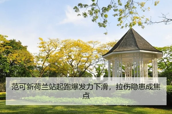 fan-ke-xin-he-lan-zhan-qi-pao-bao-fa-li-xia-hua-la-shang-yin-huan-cheng-jiao-dian-2-233.jpg